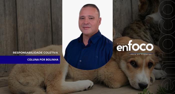 Responsabilidade coletiva