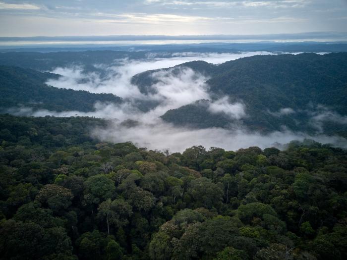 A floresta que gera mais de R$ 100 bilhões por ano em chuva