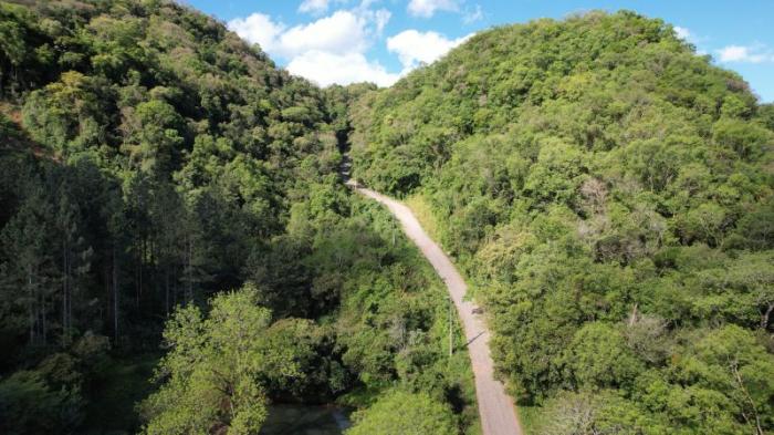 Quando a articulação política reconstrói caminhos históricos