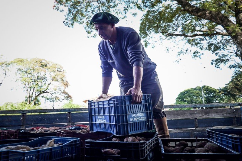 Agricultura Familiar fortalece distribuição de alimentos em São Gabriel