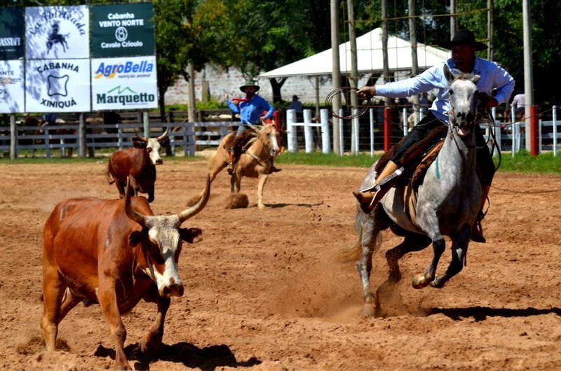30ª edição do Rodeio Internacional do Conesul começa nesta quarta na Estância do Minuano